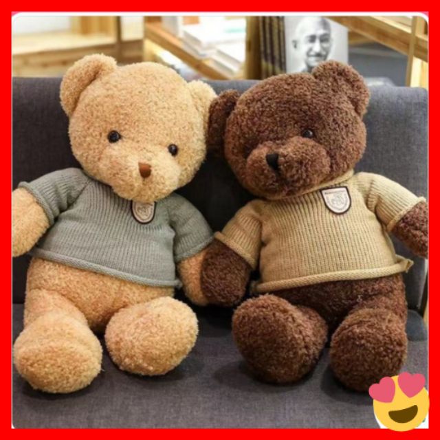 Gấu bông Teddy mặc áo len