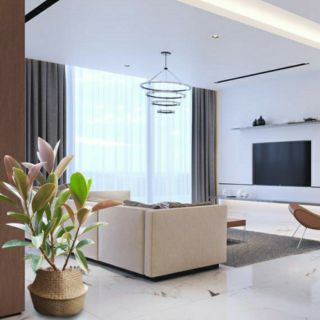 Đa Búp Đỏ ( loại lớn )