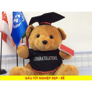 Gấu Bông Cử Nhân Tốt Nghiệp Siêu Rẻ