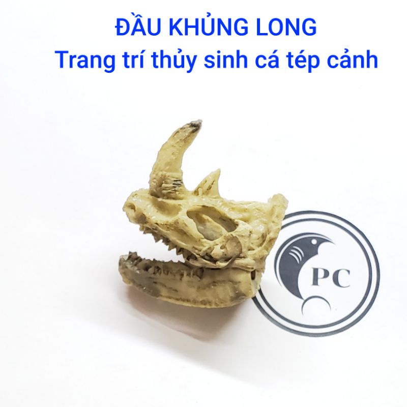 Đầu khủng long trang trí bể thủy sinh cá cảnh