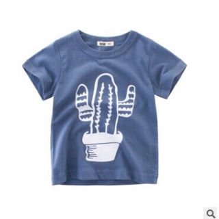 Combo áo 27kid ko chọn màu