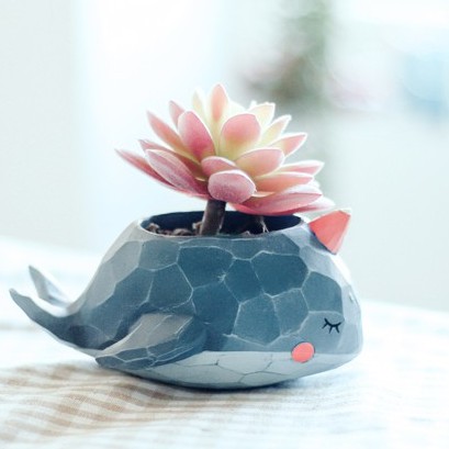 Chậu cây Thú mini