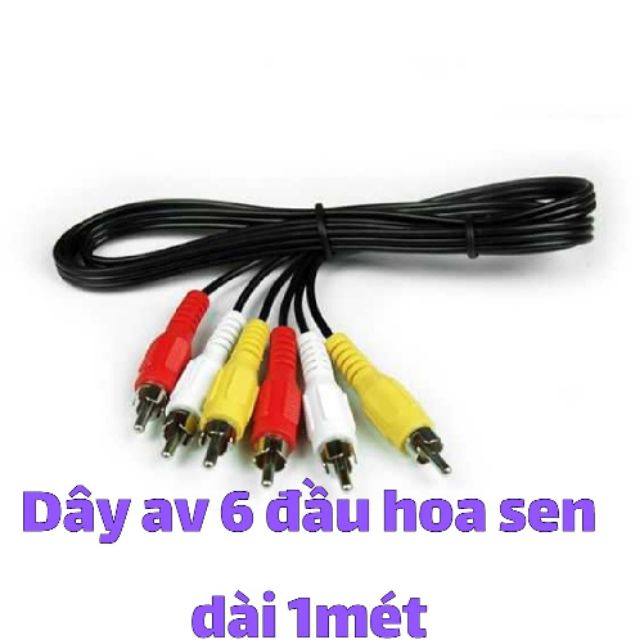 SỈ SẬP SÀN DÂY AV 6 ĐẦU HOA SEN DÀI 1MÉT