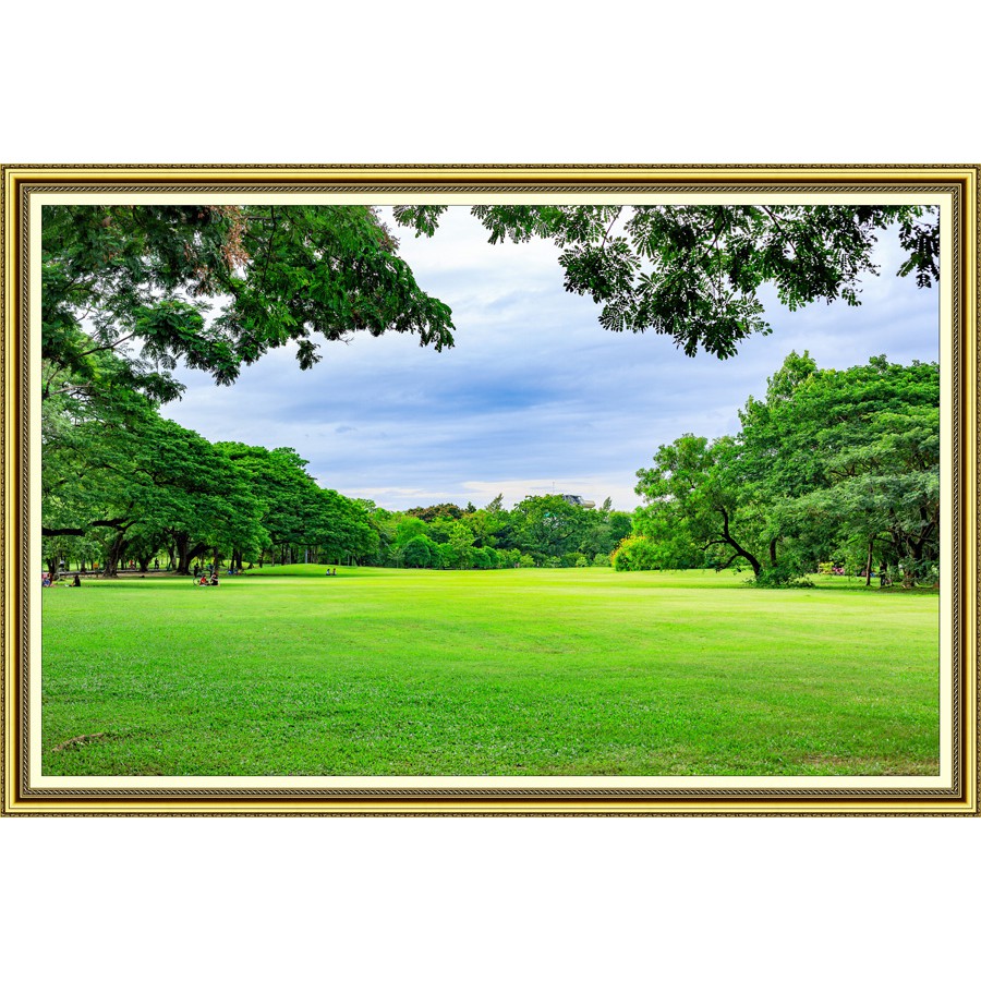 Tranh dán tường khung tranh cảnh cây xanh thiên nhiên đẹp TN0042K KT 180 x 120 cm