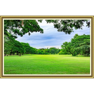 Tranh dán tường khung tranh cảnh cây xanh thiên nhiên đẹp TN0042K KT 180 x 120 cm