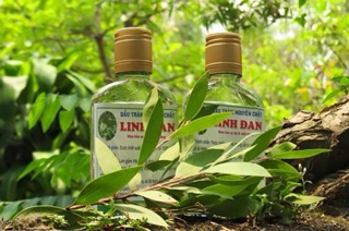 tinh dầu tràm linh đan ( nguyên chất 100%)