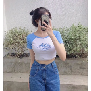 Áo croptop thun gân body tay raglan viền (ảnh thật)