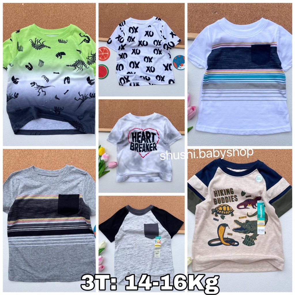 Áo thun bé trai xuất dư hãng chất vải xịn sò mềm mịn,nhiều màu xinh xắn Shushibaby