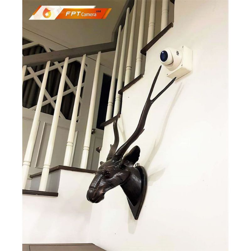 CAMERA fpt trong nhà miễn phí Cluod 1 năm | BigBuy360 - bigbuy360.vn