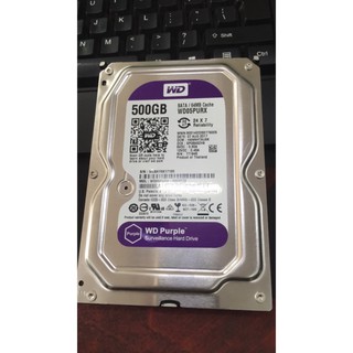 Ổ cứng HDD Western Tím 500G chuyên camera
