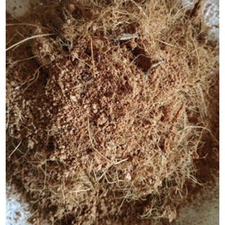 Mùn Xơ Dừa, sơ dừa 1kg- Giá Thể Trồng Rau, Hoa, Cây Ăn Trái, Hoa Lan, Hoa Hồng, Cây Kiểng, cây cảnh phong thủy ...