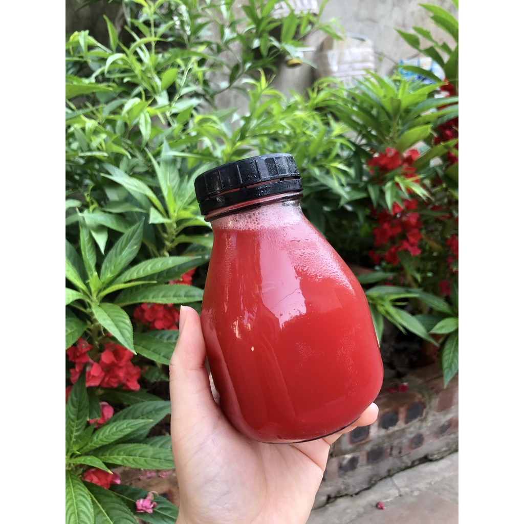 Chai thủy tinh vuông lùn nắp nhựa