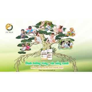 NGŨ CỐC LỢI SỮA TÚC MẠCH