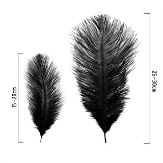 10 lông đà điểu tự nhiên kích cỡ 10-12 inches/25-30 CM dùng trang trí