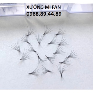 Mi fan 6d, dày 0.07, cong c - d, hộp 1000fan - dụng cụ nối mi - xưởng mi fan