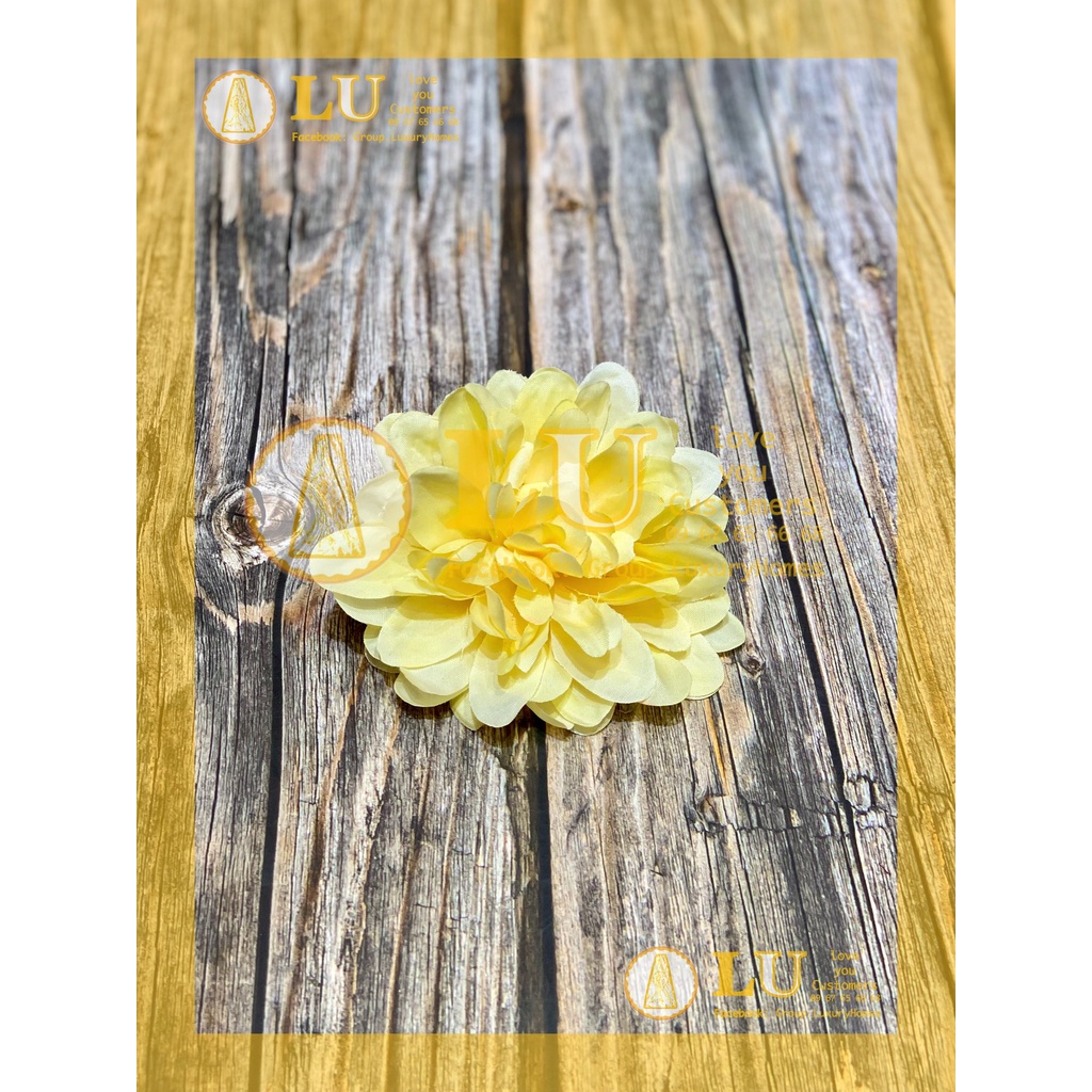 Đầu hoa Thược dược nhỡ | LU