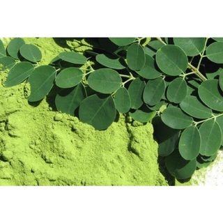 Bột chùm ngây cho bé ăn dặm. trắng da, sạch mụn.