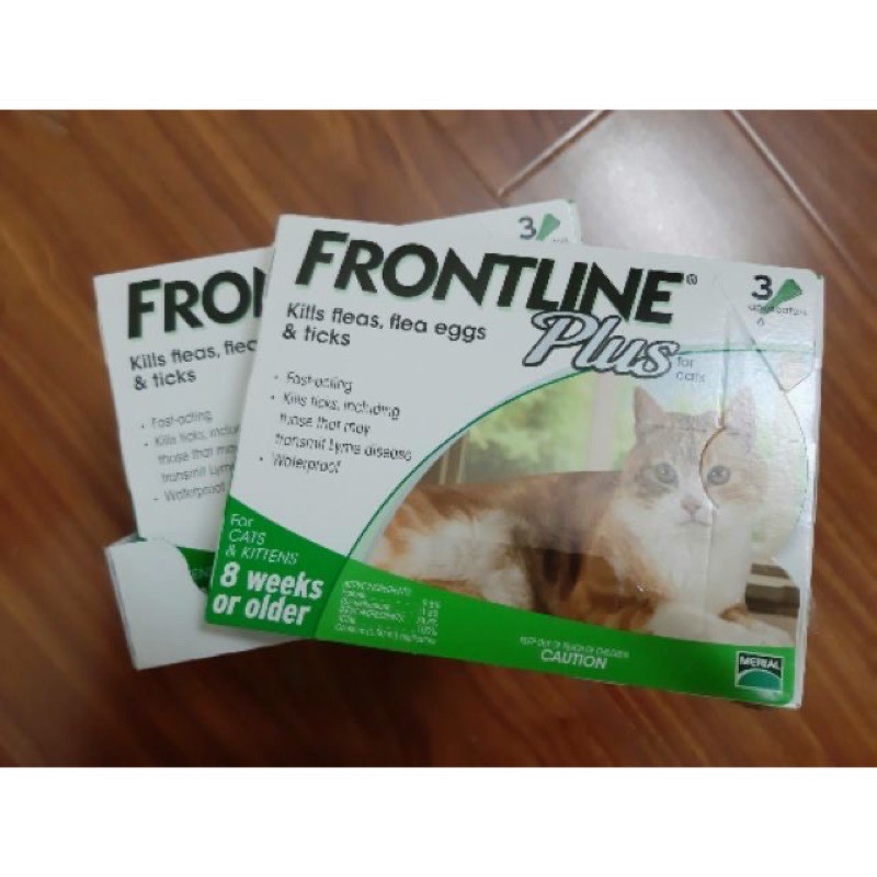 nhỏ gáy Frontline Plus phòng điều trị ve cho mèo