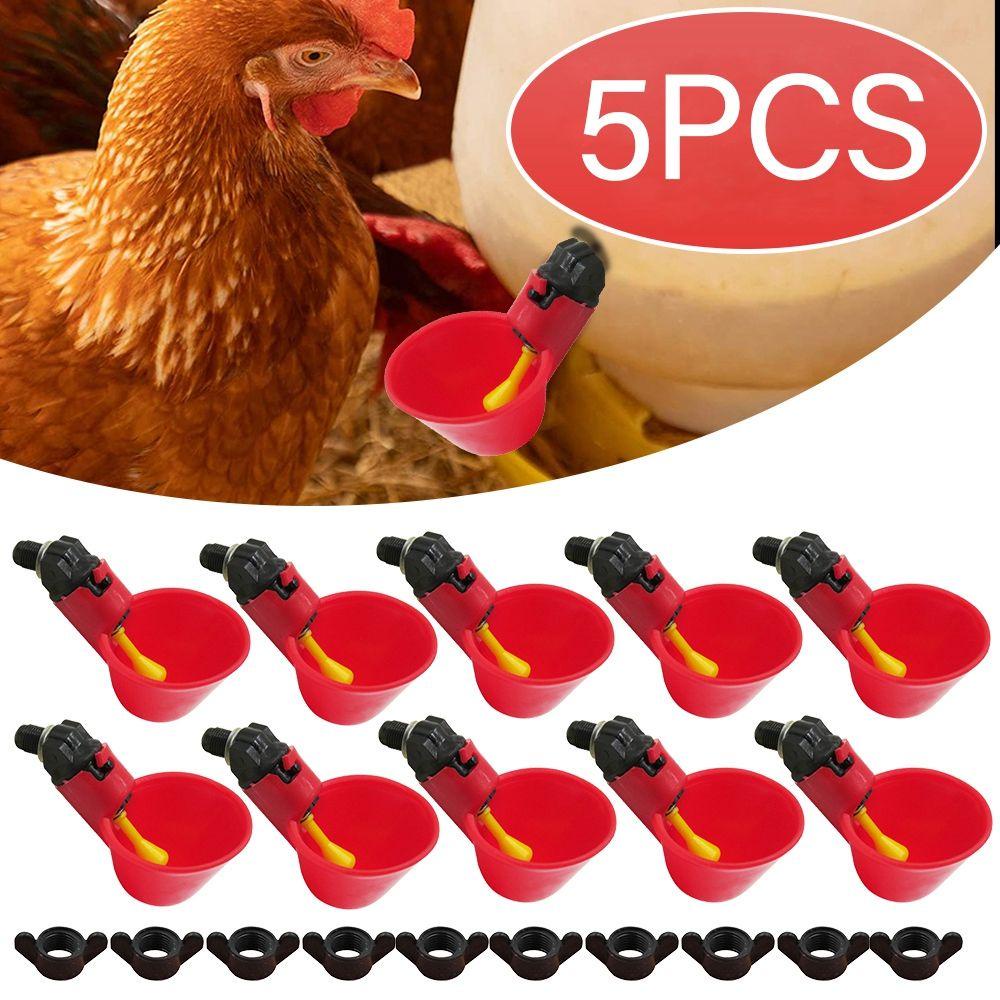 Bát Đựng Nước Uống Tiện Dụng Cho Chim Cảnh