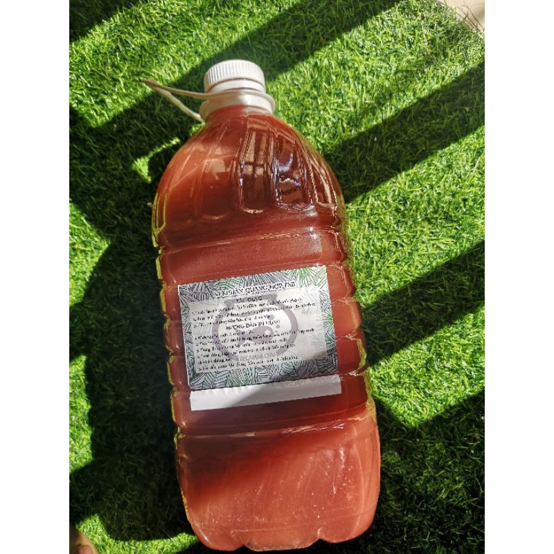 Vi sinh PSB làm trong nước bể cá