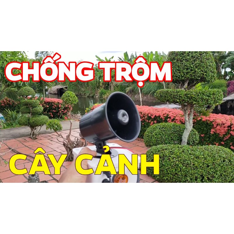 Chống trộm cây cảnh