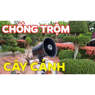 Chống trộm cây cảnh