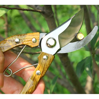 Kéo cắt tỉa cây siêu bền, siêu sắc, dụng cụ làm vườn dùng cắt tỉa cành cây, chồi cây, cây ăn quả, cây cảnh, cây tiêu...