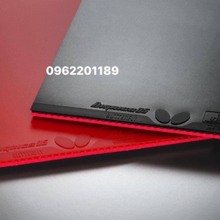 Mặt vợt bóng bàn DIGNICS 05