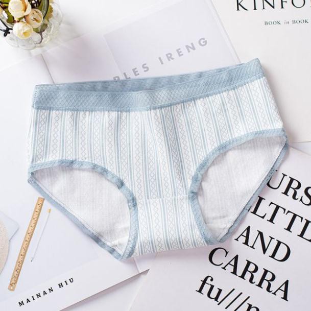 Quần Lót Cotton Cạp Ren Lưới Viền Ren Phối Kẻ  Dọc Q39
