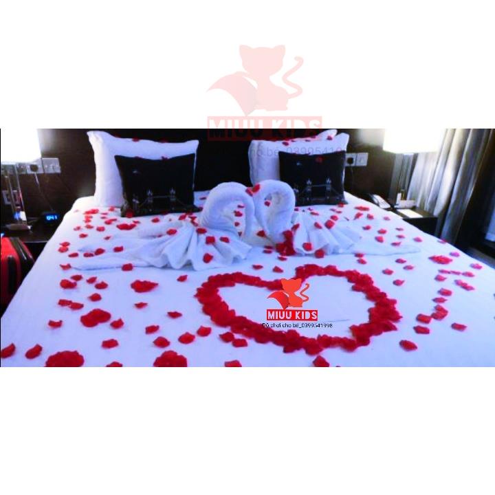 100 Cánh Hồng Lụa Trang Trí Tiệc Cưới Sự Kiện