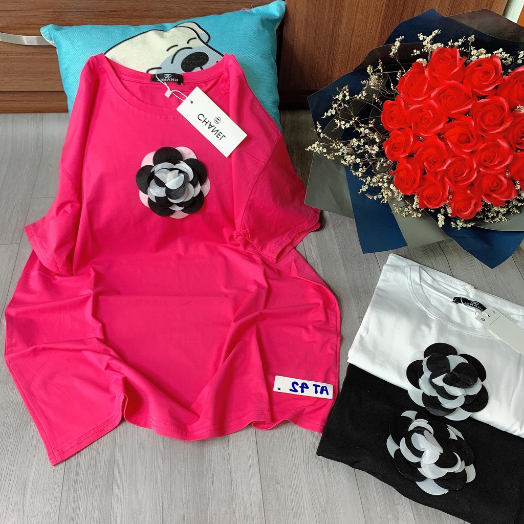 Áo Thun Phông A42 Unisex Nam Nữ Cotton 100%  Hoa Trà Cao Cấp | BigBuy360 - bigbuy360.vn