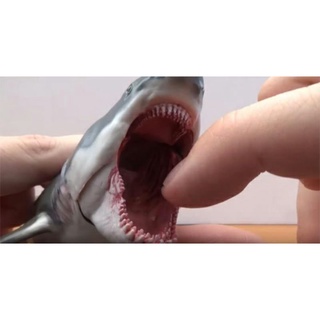 Mô hình PNSO Patton The Megalodon