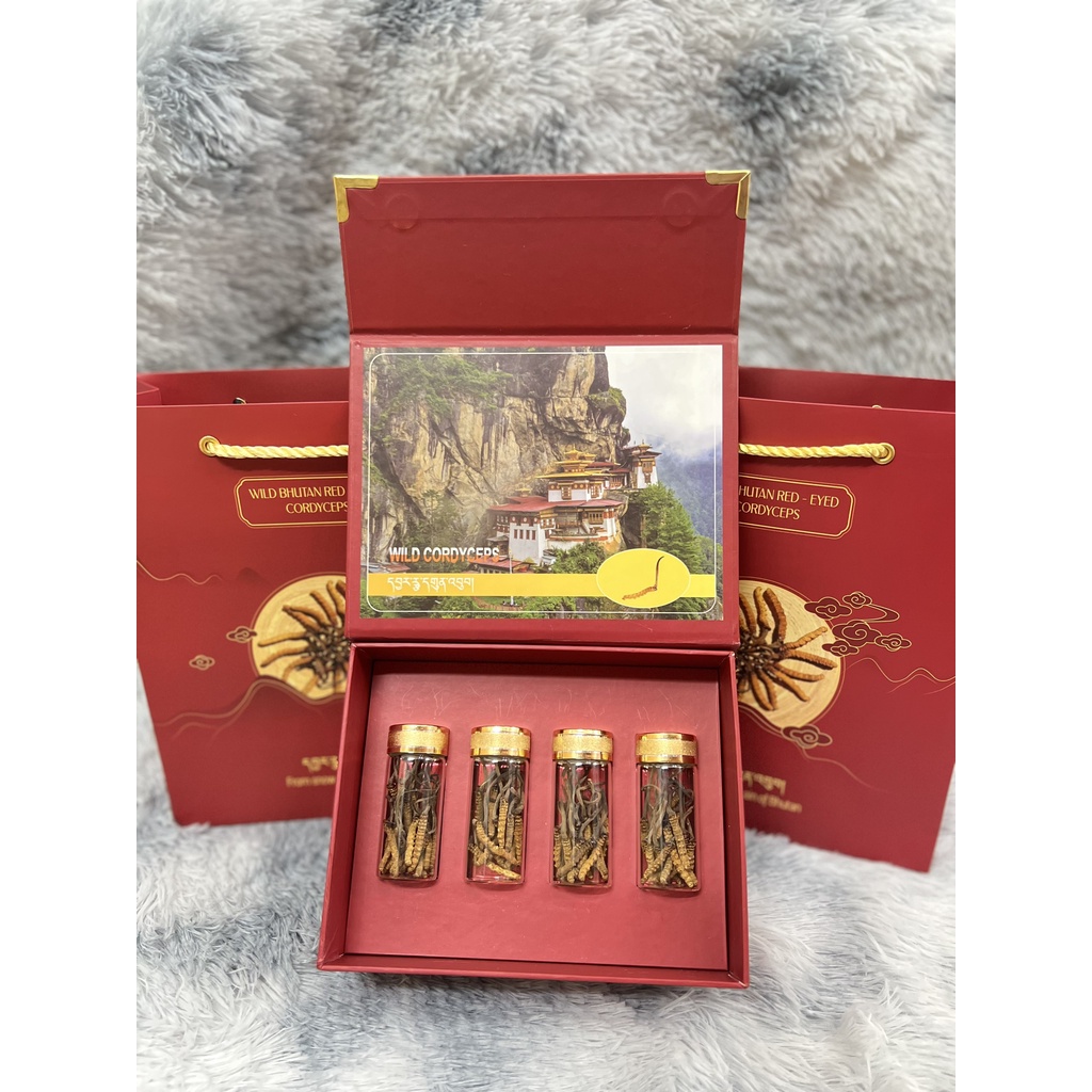 SET TÚI VÀ HỘP ĐỰNG ĐÔNG TRÙNG HẠ THẢO - KHAY 4