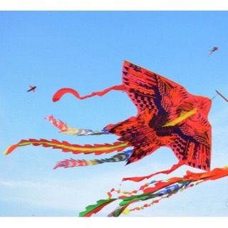 Diều phụng lớn tặng kèm dây