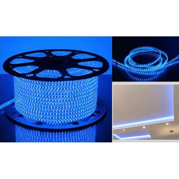 Cuộn dây 50 mét đèn led dây 3014 trang trí trong nhà, ngoài trời
