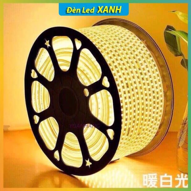 Dây đèn trang trí, Dây đèn led ngoài trời 2835 đa năng dùng trên trần nhà - tường - quấn cây....