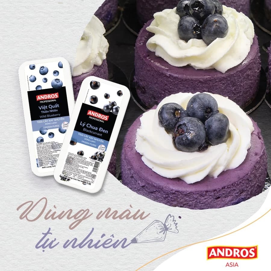 ANDROS - Việt quất puree đông lạnh ( Wild Blueberry Frozen Puree) - Trái cây xay nhuyễn - Hộp 1 KG