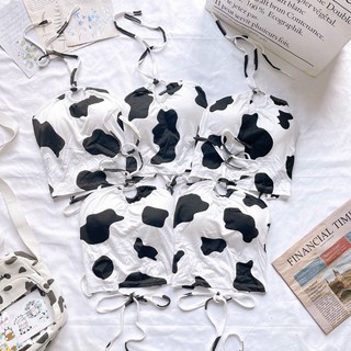 Áo mod ngực bò sữa đan dây