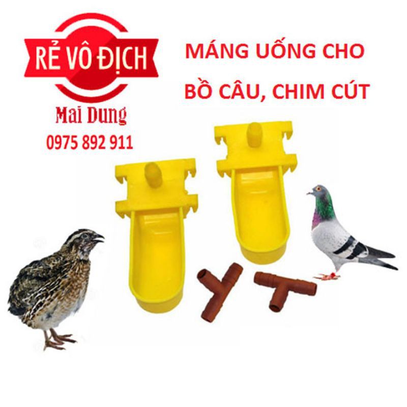 Máng uống tự động cho chim cút , bồ câu , chim kiểng