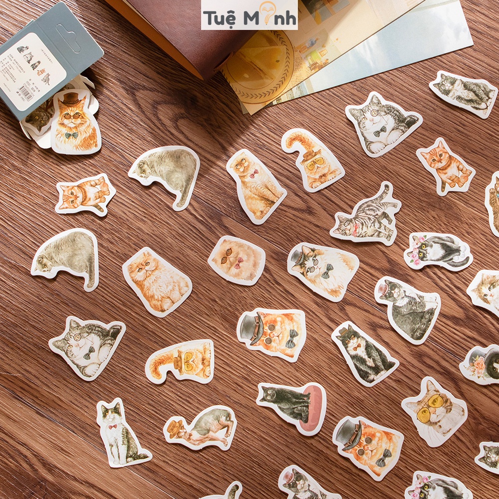 Sticker mèo cute hộp 46 sticker hoạt hình Mèo STI62 phong cách Châu Âu dễ thương