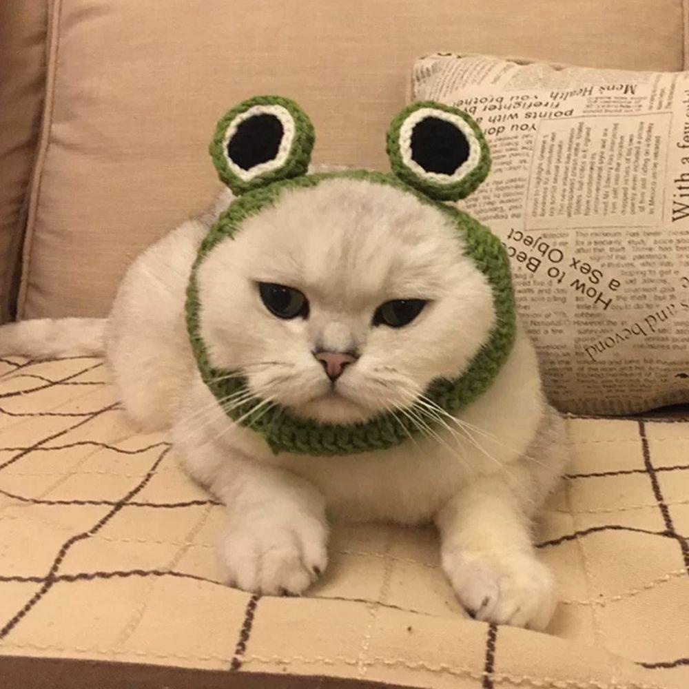 AUGUSTINA Mũ Len Hóa Trang Dễ Thương Cho Thú Cưng