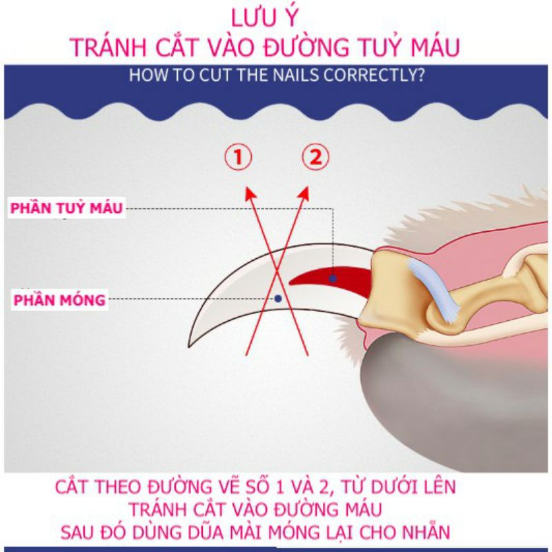 Kềm Cắt Móng Cho Thú Cưng Tiện Dụng