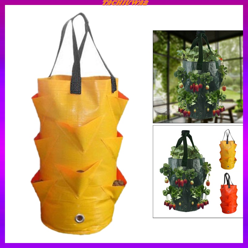 [Tachiuwa2] Túi Trồng Dâu Tây 3 Gallon