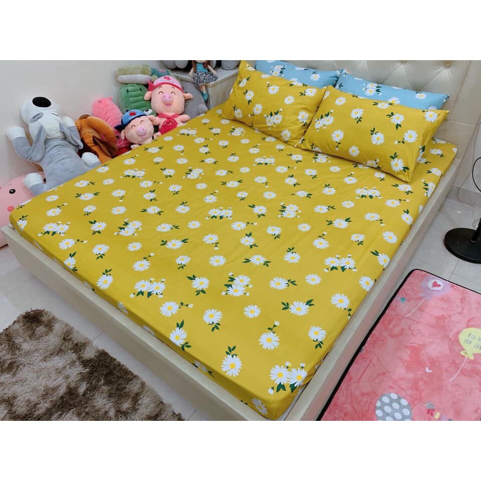 (Hàng Mới Vê) Ga chun kèm vỏ gối 1m6x2m giá rẻ