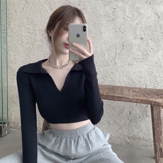 Áo polo dáng croptop bo eo- ROSE STORE