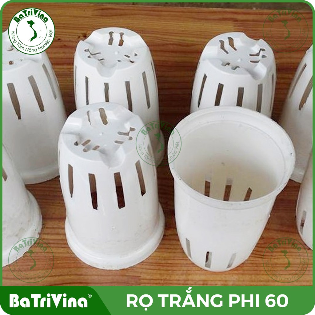 COMBO 100 rọ trắng nguyên sinh 70x100 (phi khoan 60) trồng rau thủy canh cho ống nước PVC phi 110