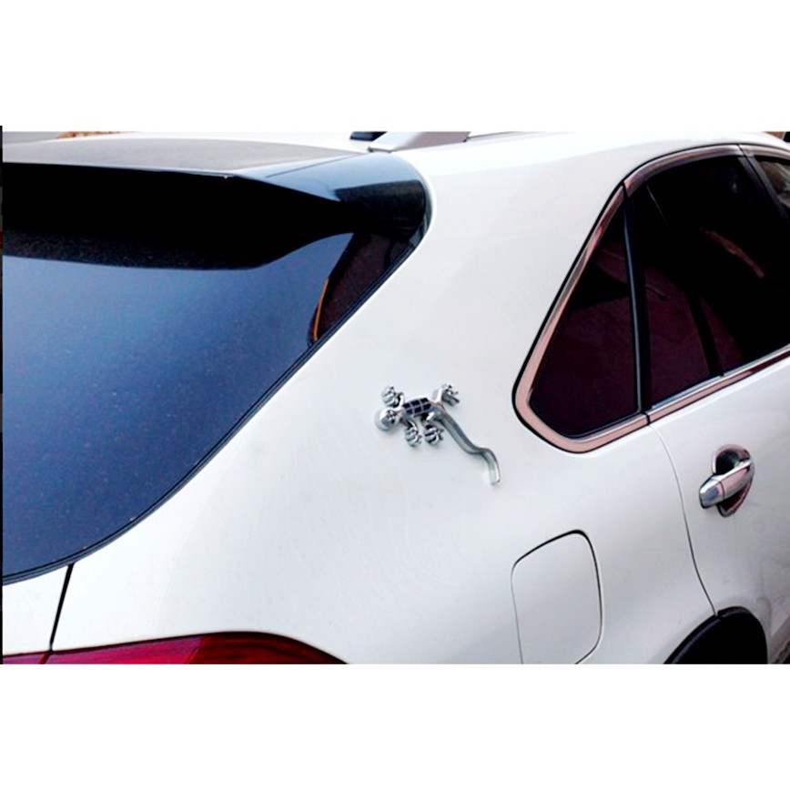 THẰN LẰN PHÁT SÁNG