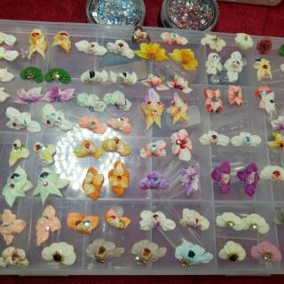 199k Compo 50 Hoa bột Fantasy  các  loại