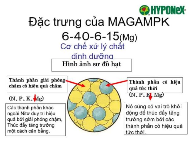 500g phân trắng tan chậm MAGAMP PLUSK  Nhật  dùng cho hoa lan, cây cảnh ( chiết lẻ)