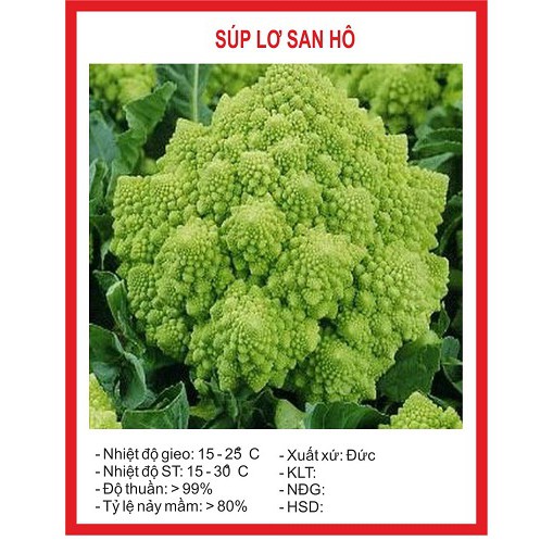 Hạt giống Súp Lơ San Hô 10hat/ gói